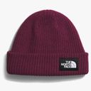 The North Face Salty Dog Lined Beanie NWT - Wine Photo 0