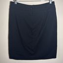 CAbi  Skirt Photo 1