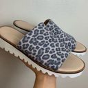 Anthropologie Cady Sport Animal Print Slides sz 40 Photo 0