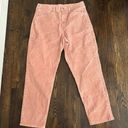 American Eagle pink corduroy pants Photo 0