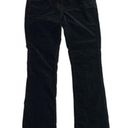 White House | Black Market  Noir Cordless Cordutoy Slim Leg Boot Cut Pants Size 10 Photo 0