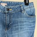 J.Jill  Women's Blue Denim Straight Jeans Size 8 Front & Back Pockets Photo 4