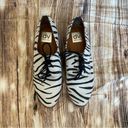 DV by Dolce Vit DV Dolce Vita Drew Zebra Print Oxford Shoes Photo 4