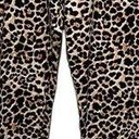 White Birch  Leopard Print Leggings Brown Black Size Small Photo 0