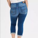 American Eagle AE Ne(x)t Level Artist Crop Jean Size 24 Long NWT Photo 1