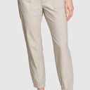 Eddie Bauer NWT!  Women's Adventurer Stretch Ripstop Jogger Pants Photo 0