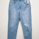 Hudson Jeans NWOT HUDSON Kass Jeans High-Rise Straight Ankle Jeans Photo 2