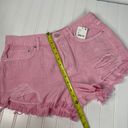 Free People NWT  Women’s Pink Belt Lopped Distressed Bermuda Short Size 29 Photo 5