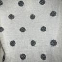 Talbots  Gorgeous Ivory Silver Tinsel Dot Lambswool Blend Sweater NWT $90 Size SP Photo 3