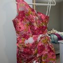 Showpo Pink Floral Dress Photo 0