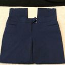 Style & Co  Navy Blue Ankle Pants Size 14 EUC #3214 Photo 0