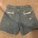 American Eagle Outfitters Long Shorts Photo 1