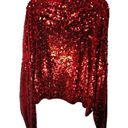 Pilcro  Size 2X 100% Cashmere Ruby Red Sequin Long Sleeve Pullover Glam Sweater Photo 0