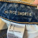 American Eagle Outfitters Denim Shorts Photo 1