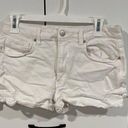 Dear John  denim shorts . Size 28 Photo 0