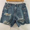 American Eagle  Highest Rise Baggy Short Size 14 NWT Photo 0