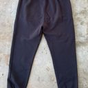 Dickies Mapleton Oversized Sweatpants Photo 1