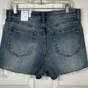 sts blue  Kate High Rise Denim Shorts Photo 5