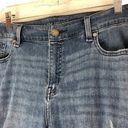 Lane Bryant Distressed Skinny Jean Photo 2