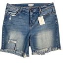 Cello Ms.  Women's Jean Shorts Sz 2X Denim Frayed Hem High Rise Distressed Photo 0