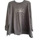 Lane Bryant  Plus Size Ladies Gray Sweatshirt Size 22/24‎ Photo 0