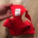 The North Face  Neon Orange Bra Photo 2