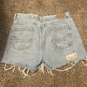 American Eagle Outfitters Shorts Photo 1