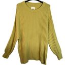 Aerie  Sweater Womens Size M Yellow Oversized Pullover Long Sleeve Round Neck NEW Photo 0