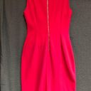 Calvin Klein  pink sleeveless dress with brass zipper and decorative neckline Photo 1