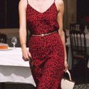 Rails  Yara Red Leopard Slip Dress Photo 0