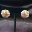 Boutique Gold Seashell Large Stud Earrings Photo 3