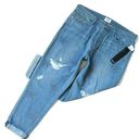 Hudson Jeans NWT HUDSON Riley in Amplify Studded Star Destroyed Boyfriend Jeans 24 $295 Photo 0