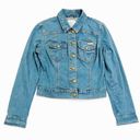 Calvin Klein Jeans  Vintage Y2K Women's Denim Classic Trucker Jacket Size M Photo 0