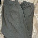 American Eagle Outfitters Joggers Photo 0