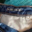 American Eagle Outfitters Jean Short Photo 5