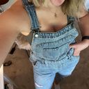 Wild Fable Denim Overalls Photo 0