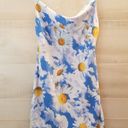 Urban Outfitters {L}  Mallory Cowl Neck Slip Dress Photo 0