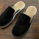 Boutique Black Slip On Mules Photo 0