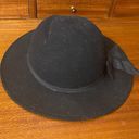 Krass&co Bollman Hat  Doeskin 100% wool hat vintage Photo 4