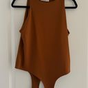 Amazon Brown Bodysuit Photo 0