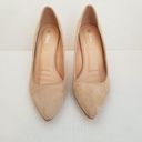 Bella Marie  Light Taupe Suede Pointy High Heel Photo 2