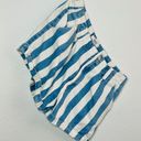 Forever 21  striped shorts Photo 5