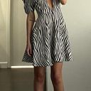 LIONESS Ask Anything Zebra Print Mini Dress NWT Photo 0