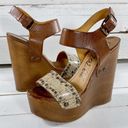 Lanvin Paris Lanvin Wooden & Snakeskin Leather Wedge Heels Photo 0