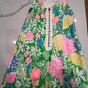 Lilly Pulitzer Colorful Dress Photo 2