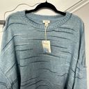 a.n.a . Crew Neck Long Sleeve Sweater, Women’s Plus Size 2X, NWT Photo 3