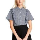 Sandy Liang 💕 x TARGET💕 Short Sleeve Ruffle Blouse ~ Gingham Print Medium Photo 1