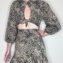 Maeve NWT  By Anthropologie Brown & Black Leopard Animal Print Cut-Out Mini Dress Photo 3