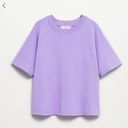 Mango  Double Collar Light Lavender Tshirt - Size M Photo 0