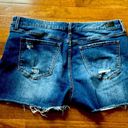 Skinny Girl Women’s Distressed Jean Shots; ; Like New. size 31 Photo 1